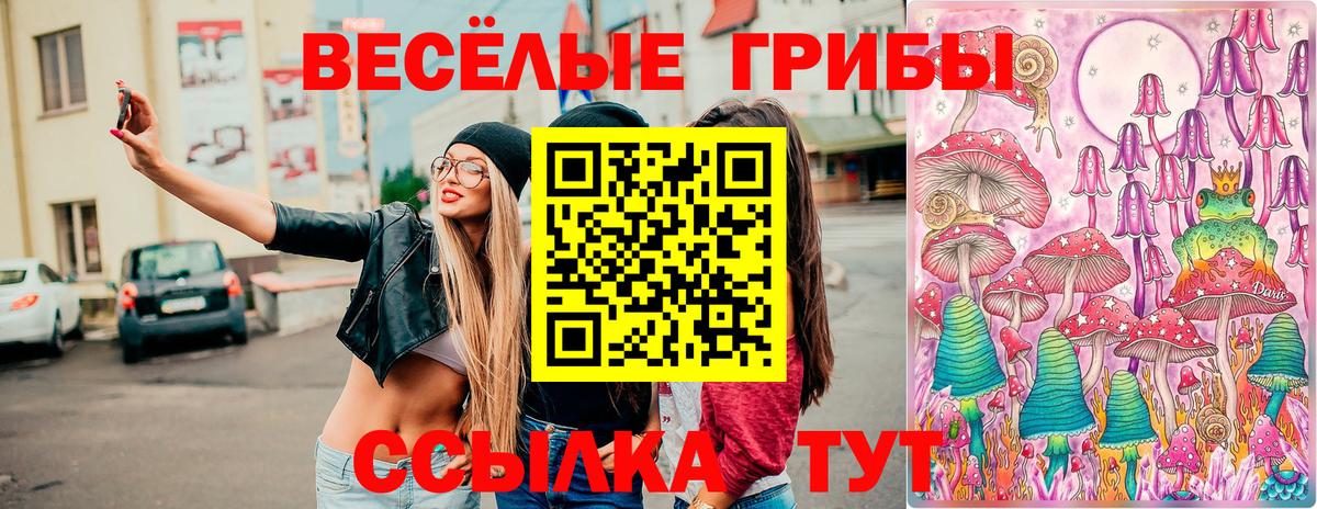 Псилоцибиновые грибы ЛСД  купить  сайты  Павловский Посад  Вход с VPN 
