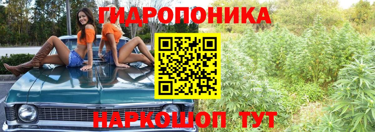 Бошки Шишки сатива Павловский Посад